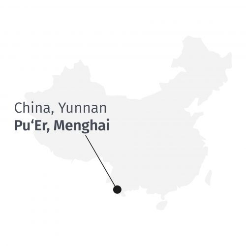 Premium Pu Erh Menghai 5 Years *Bioloģiski sertificēts