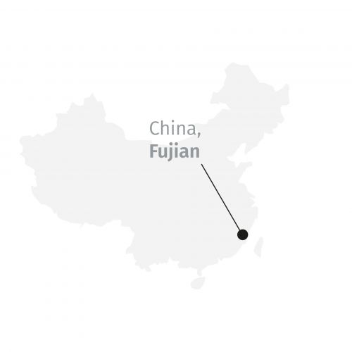 Yin Zhen Silverneedle *Bioloģiski sertificēts